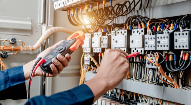 Best Electric Panel Repair  in Tuscola, IL