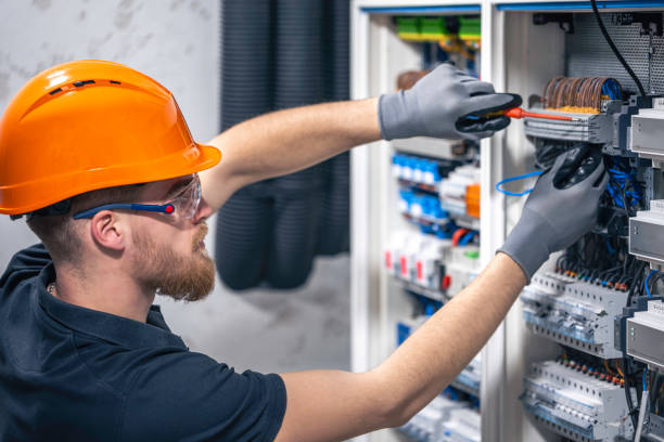 Best Electrical System Inspection  in Tuscola, IL